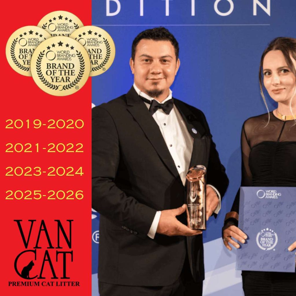 VanCat vuelve a brillar: cuatro premios internacionales… y contando 🏆✨